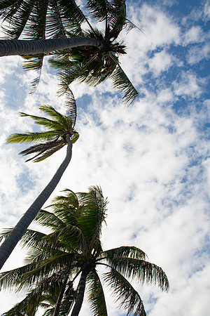 Hawaii-BI-4