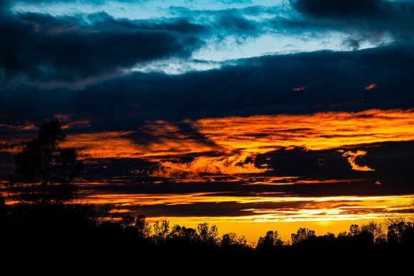 Local Sunset