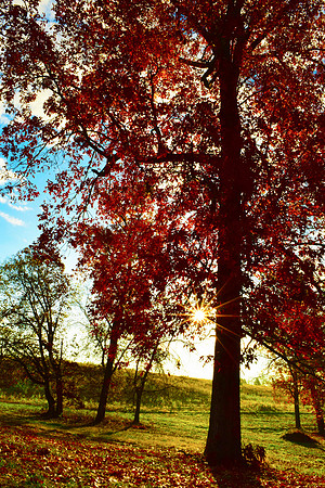 Tennessee Fall Sunset