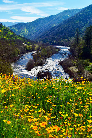 Kings River Gold