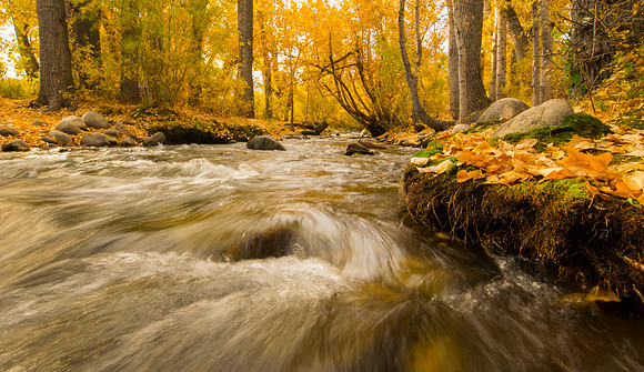 McGee Creek