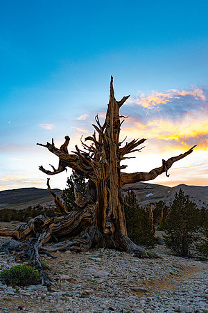 ancient sunset