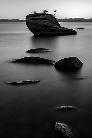 B&W Bonsai Rock