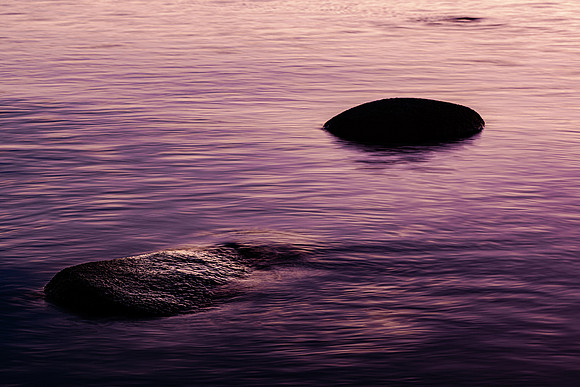 Tahoe violet