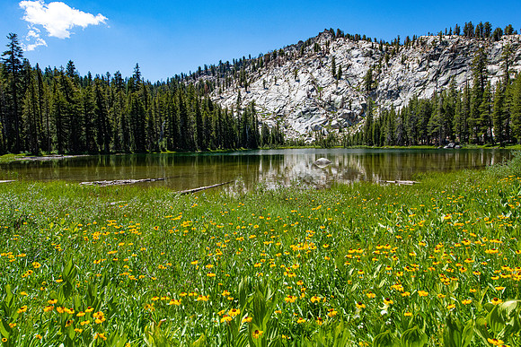 Lower Twin Lake and Flowers