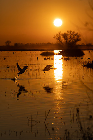 sunset takeoff