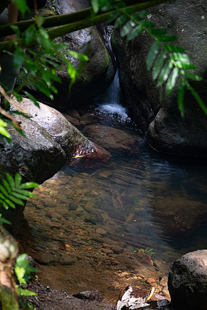 Oahu-27